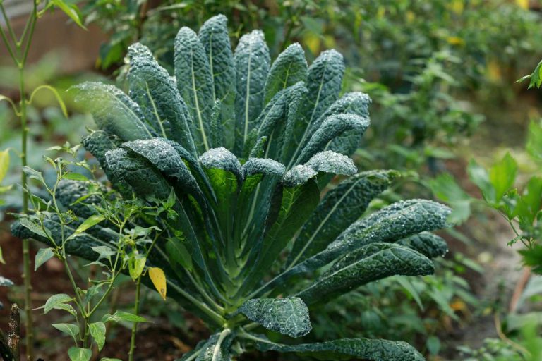 Once You Experience Closed-Loop Gardening, There’s No Turning Back